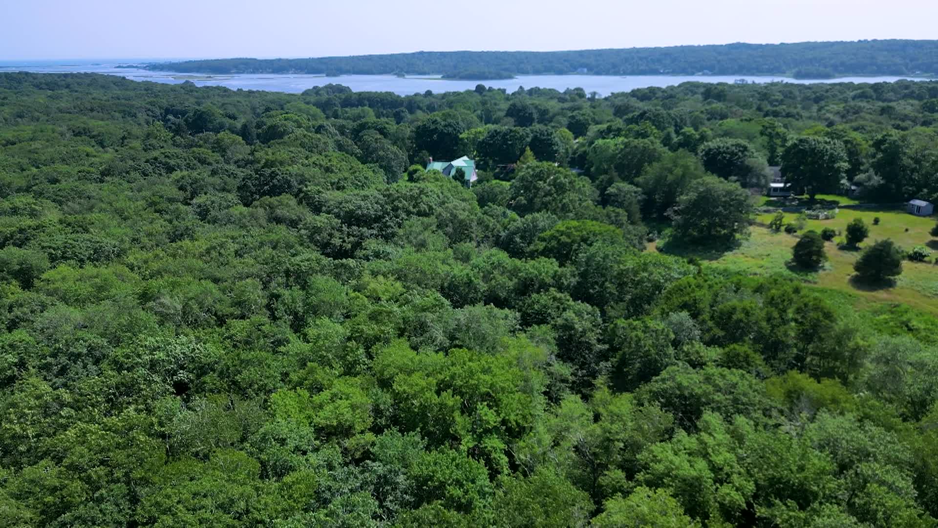 Thumbnail image for Herb Hadfield Conservation Area