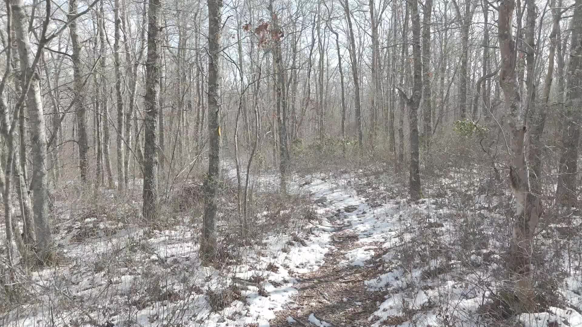 Thumbnail image for Herb H walk