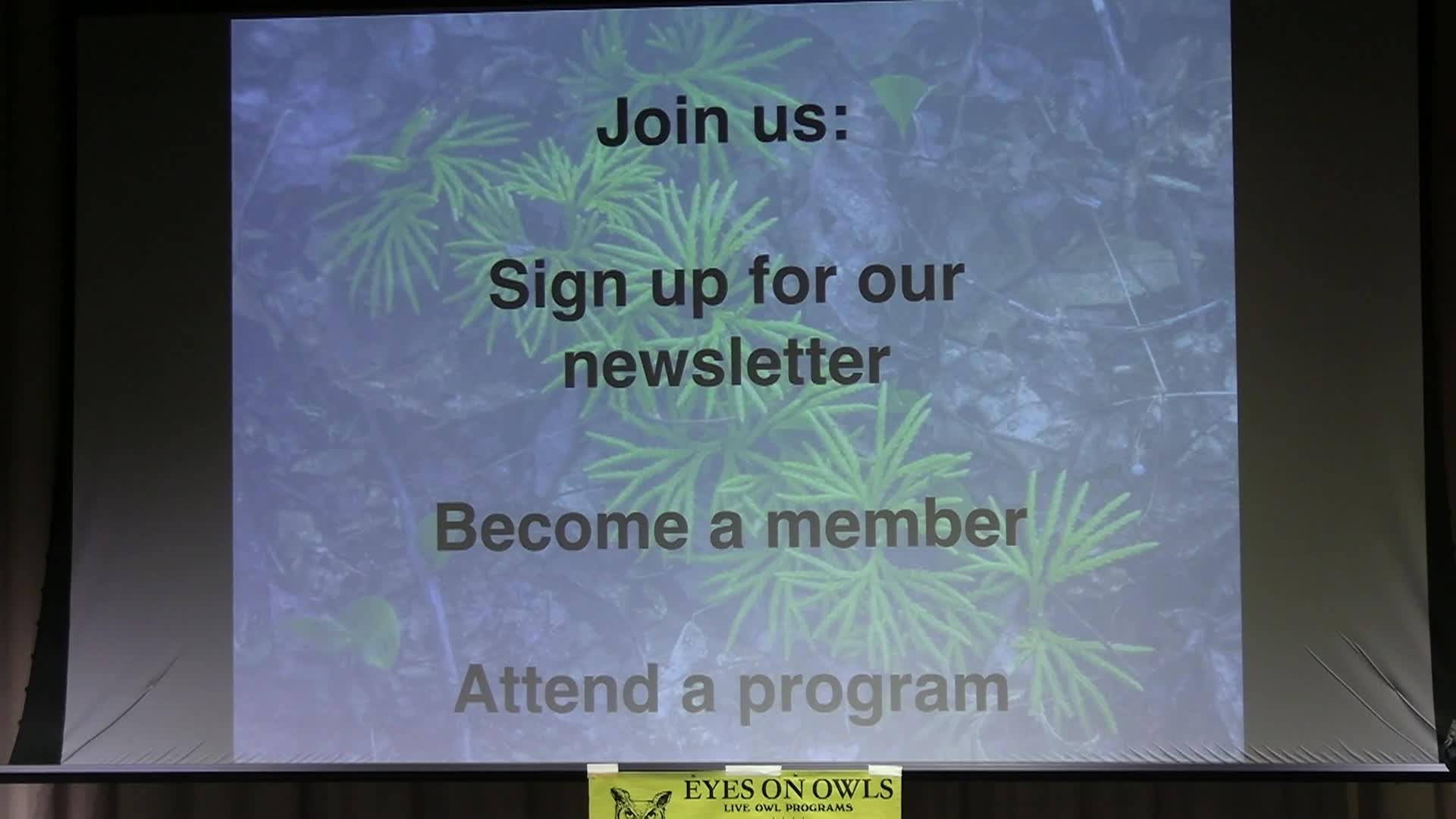 Thumbnail image for Owl Show